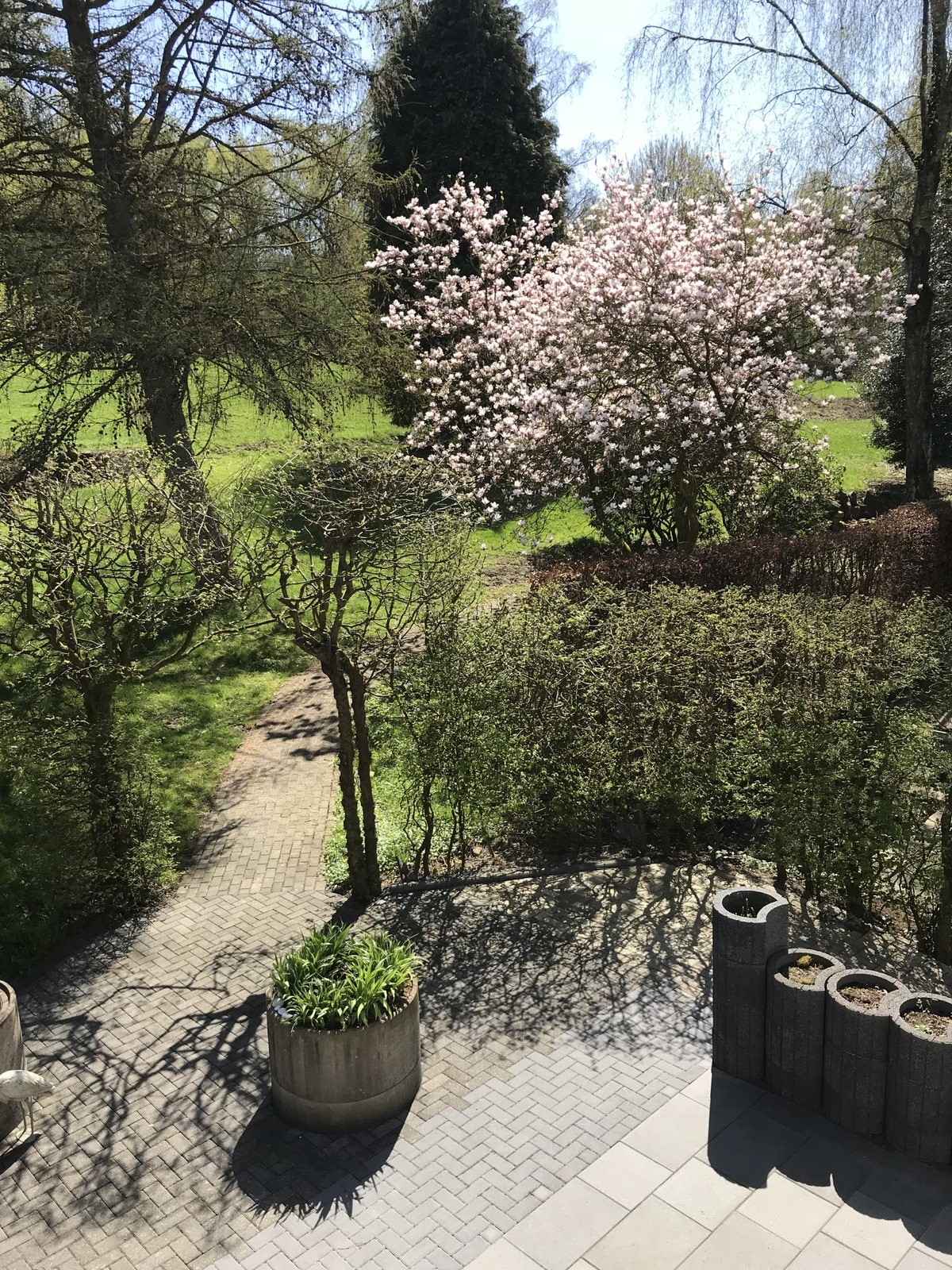 Blick auf die Terrasse und in den Garten unserer Demenz WG Haus Bierenbachtal Nuembrecht
